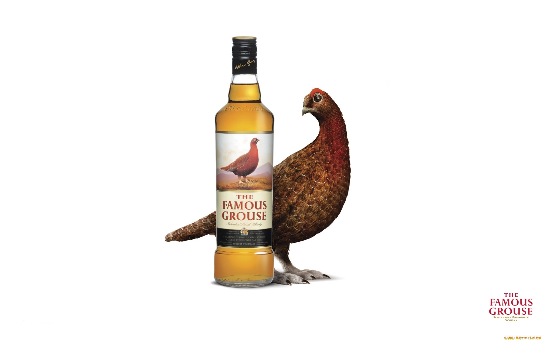 the, famous, grouse, , , whisky